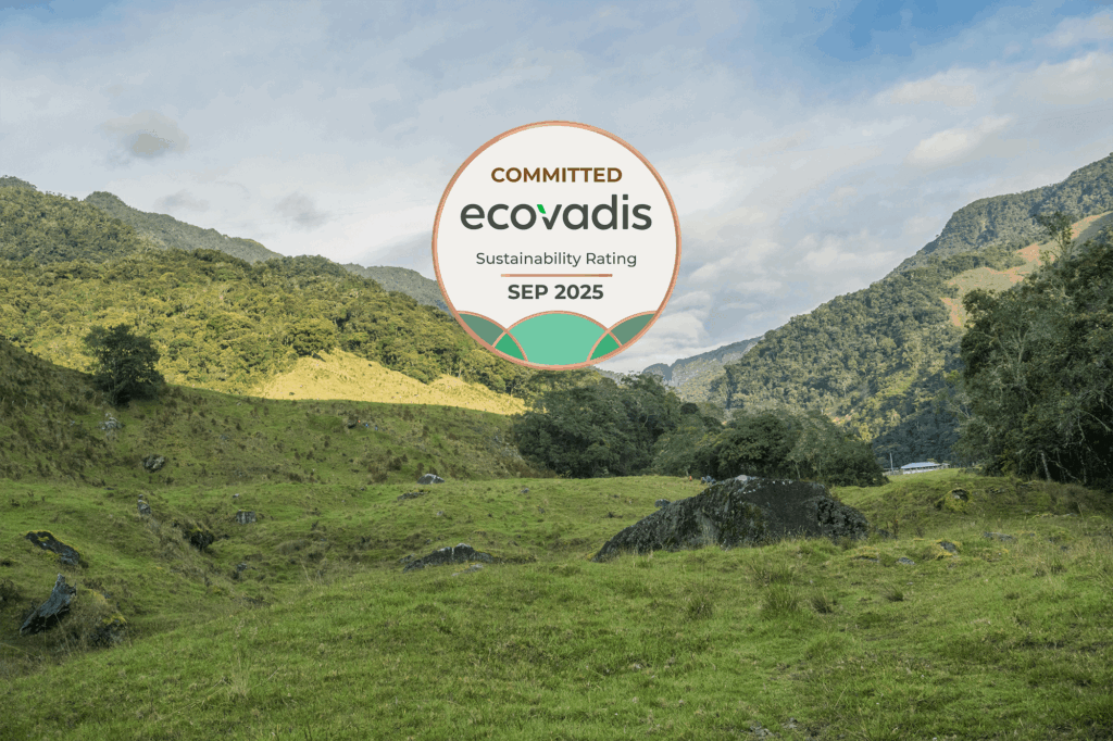 EcoVadis Bronze Medal