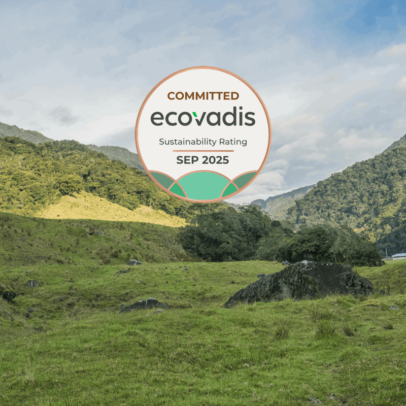 EcoVadis Bronze Medal